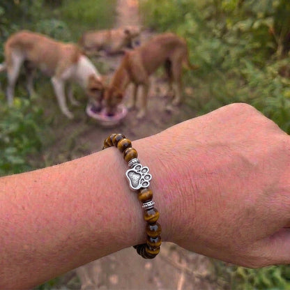 Armband – Tijgeroog